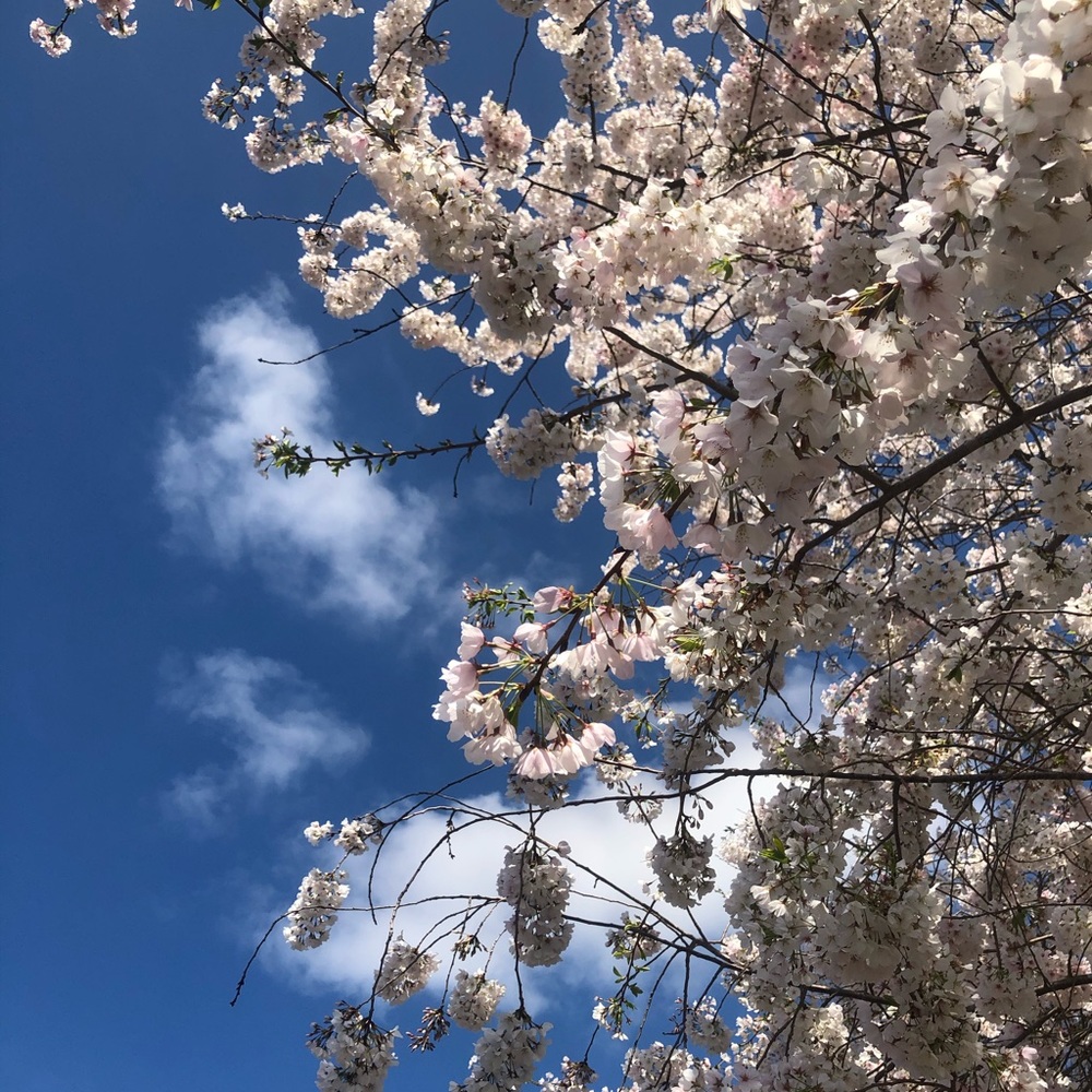 Meet your Posher, Leah